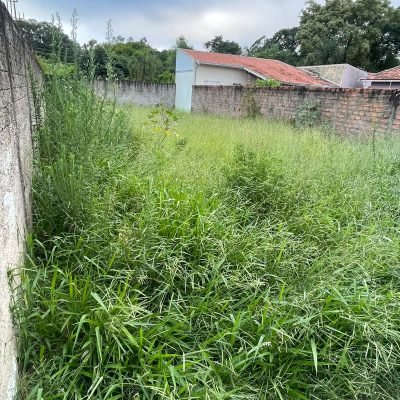 Serviço de limpeza de mato e preparação de terreno residencial para início de fundações em Avaré.